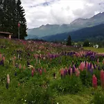 Maspoli Holidays - Sich Zu Hause Fuehlen By Interhome * Lenzerheide