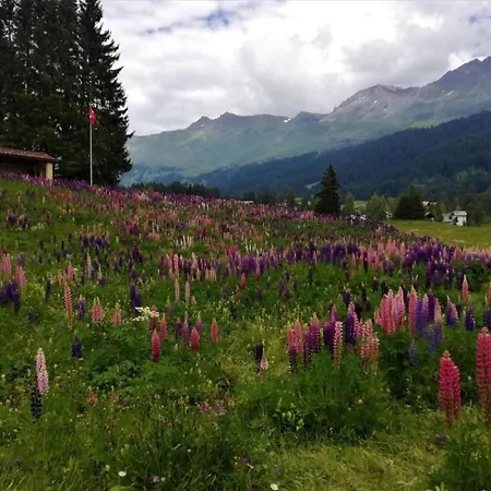 Maspoli Holidays - Sich Zu Hause Fuehlen By Interhome * Lenzerheide