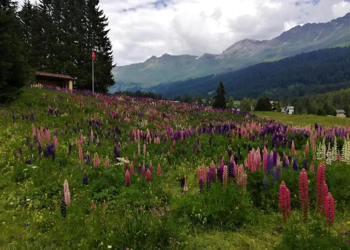 Maspoli Holidays - Sich Zu Hause Fuehlen By Interhome * Lenzerheide